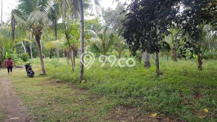 Lahan Dijual Lokasi Melaya, Jembrana dengan Luas Tanah 500m2 dan Status SHM Lahan Dijual Lokasi Melaya, Jembrana dengan Luas Tanah 500m2 dan Status SHM