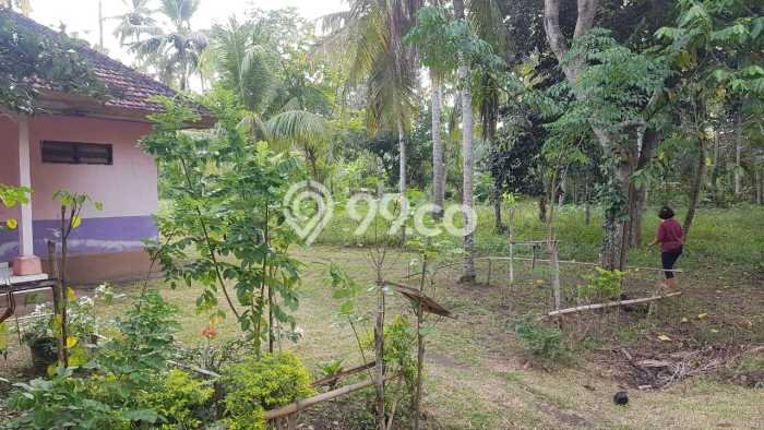 Lahan Dijual Lokasi Melaya, Jembrana dengan Luas Tanah 500m2 dan Status SHM Lahan Dijual Lokasi Melaya, Jembrana dengan Luas Tanah 500m2 dan Status SHM