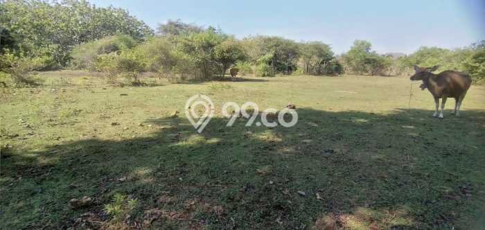Tanah Kavling Dijual di Badung dengan Spesifikasi 12800m2 Tanah Kavling Dijual di Badung dengan Spesifikasi 12800m2