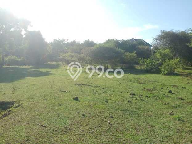 Tanah Kavling Dijual di Badung dengan Spesifikasi 12800m2 Tanah Kavling Dijual di Badung dengan Spesifikasi 12800m2