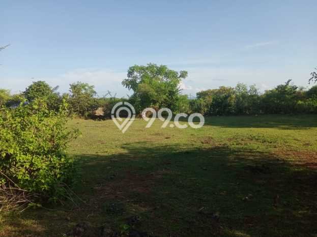 Tanah Kavling Dijual di Badung dengan Spesifikasi 12800m2 Tanah Kavling Dijual di Badung dengan Spesifikasi 12800m2