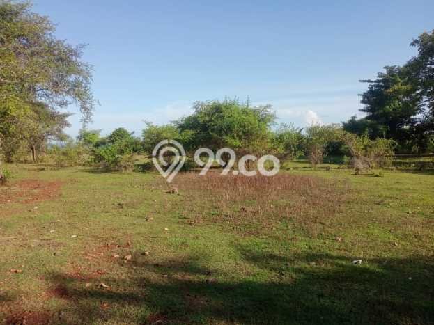 Tanah Kavling Dijual di Badung dengan Spesifikasi 12800m2 Tanah Kavling Dijual di Badung dengan Spesifikasi 12800m2