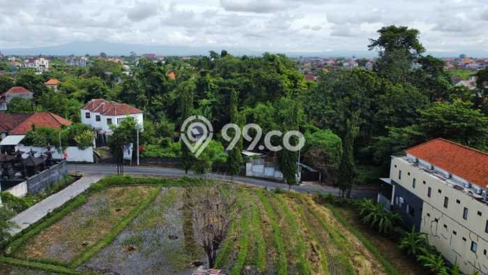 Tanah Kavling Dijual di Canggu, Badung dengan Luas Tanah 3250m2 Tanah Kavling Dijual di Canggu, Badung dengan Luas Tanah 3250m2