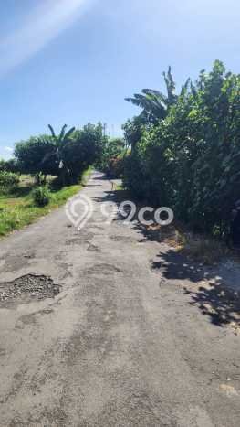 Tanah Kavling Dijual di Canggu, Badung dengan Luas Tanah 3250m2 Tanah Kavling Dijual di Canggu, Badung dengan Luas Tanah 3250m2