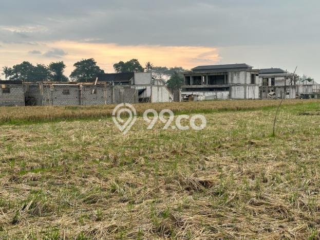 Tanah Disewakan Lokasi Badung Seluas 1630m2 Strategis dan Aman Tanah Disewakan Lokasi Badung Seluas 1630m2 Strategis dan Aman