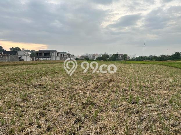 Tanah Disewakan Lokasi Badung Seluas 1630m2 Strategis dan Aman Tanah Disewakan Lokasi Badung Seluas 1630m2 Strategis dan Aman
