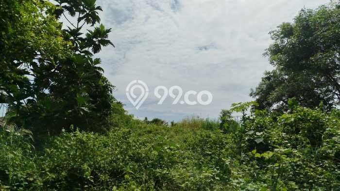 Tanah di Gianyar, Gianyar Luas 800m2 Dijual Segera Tanah di Gianyar, Gianyar Luas 800m2 Dijual Segera