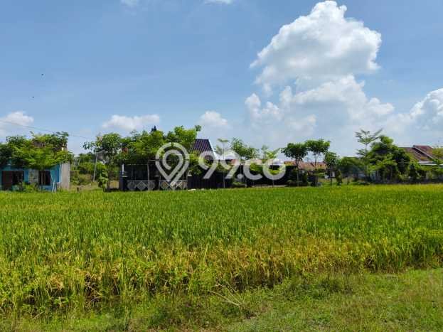 Tanah Strategis Dijual di Bendosari Sukoharjo 142m2 Tanah Strategis Dijual di Bendosari Sukoharjo 142m2