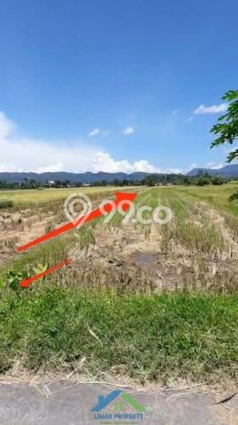Untuk Dijual Tanah 814m2 di Sleman, Yogyakarta Untuk Dijual Tanah 814m2 di Sleman, Yogyakarta