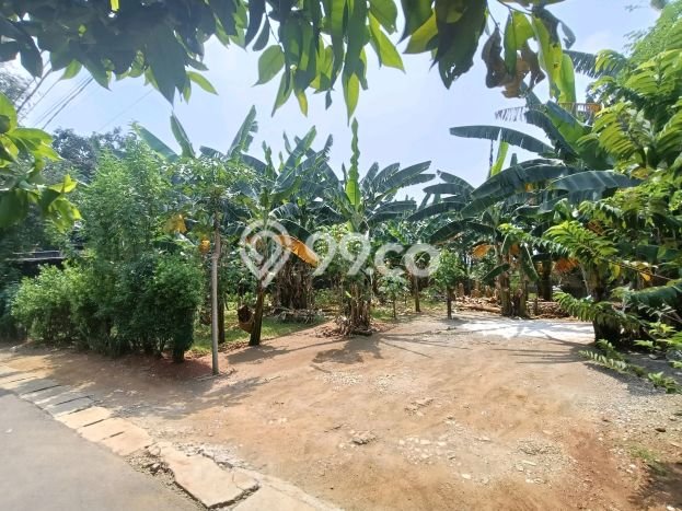 Tanah Kosong Dijual di Jakarta Selatan dengan Area 490m2 Tanah Kosong Dijual di Jakarta Selatan dengan Area 490m2