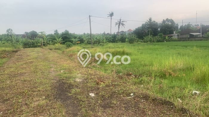 Dijual Rumah Mewah Exclusive di Umbulharjo, Yogyakarta Dijual Rumah Mewah Exclusive di Umbulharjo, Yogyakarta