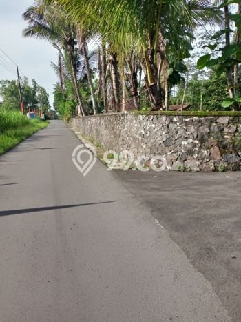 Lahan Strategis di Pakem Dijual dengan Luas 3500m2 Lahan Strategis di Pakem Dijual dengan Luas 3500m2