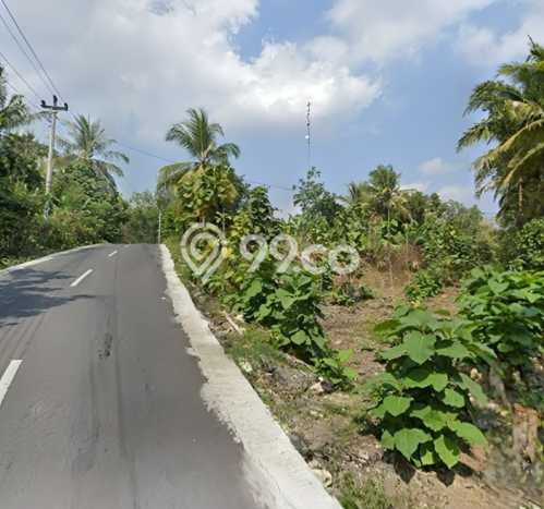 Jarang Ada! Tanah di Bantul Punya Luas 3000m2 SHM Jarang Ada! Tanah di Bantul Punya Luas 3000m2 SHM