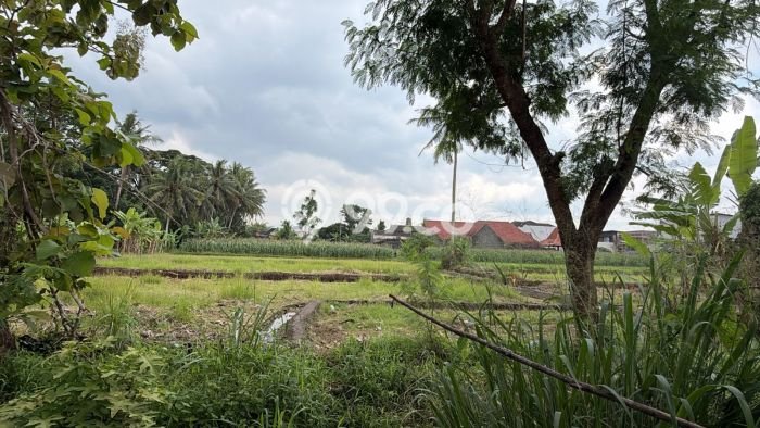Tanah Area Prospektif Kawasan Ngaglik, Luas 588m2m², Dekat ke Fasilitas, Lingkungan Asri Tanah Area Prospektif Kawasan Ngaglik, Luas 588m2m², Dekat ke Fasilitas, Lingkungan Asri