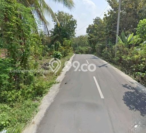 Jarang Ada! Tanah di Bantul Punya Luas 3000m2 SHM Jarang Ada! Tanah di Bantul Punya Luas 3000m2 SHM