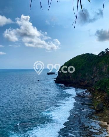 Jarang Ada! Tanah di Wonosari Punya Luas 12860m2 SHM Jarang Ada! Tanah di Wonosari Punya Luas 12860m2 SHM