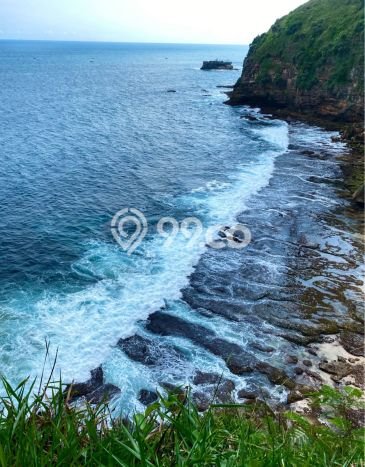 Jarang Ada! Tanah di Wonosari Punya Luas 12860m2 SHM Jarang Ada! Tanah di Wonosari Punya Luas 12860m2 SHM