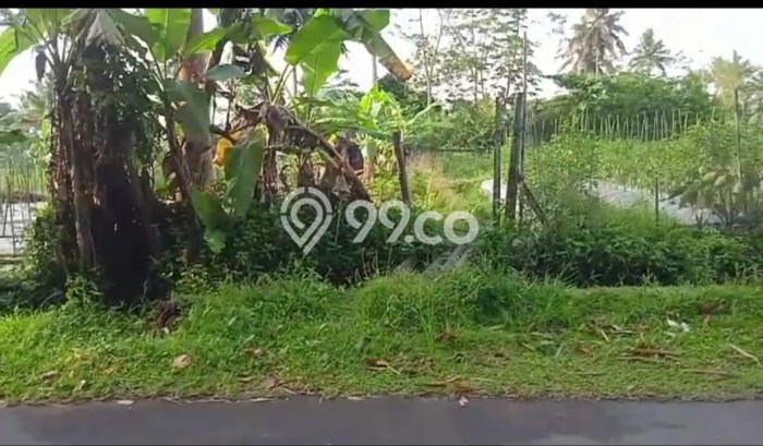 Tanah Strategis Dijual di Pakem Sleman 2033m2 Tanah Strategis Dijual di Pakem Sleman 2033m2