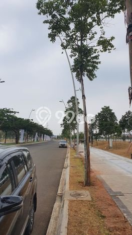 Tanah Kavling Disewakan di Pantai Indah Kapuk dengan Luas 1983m2 Tanah Kavling Disewakan di Pantai Indah Kapuk dengan Luas 1983m2