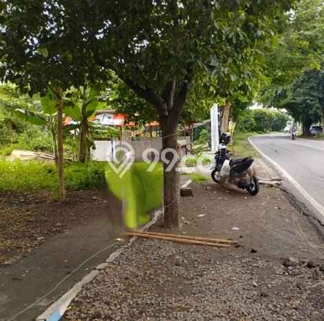 Lahan Kosong Dijual di Purworejo, Pasuruan, Luas 2095m2 Area Strategis Lahan Kosong Dijual di Purworejo, Pasuruan, Luas 2095m2 Area Strategis