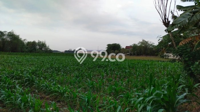Lahan Kosong Dijual di Bojonegoro dengan Area 2900m2 Lahan Kosong Dijual di Bojonegoro dengan Area 2900m2