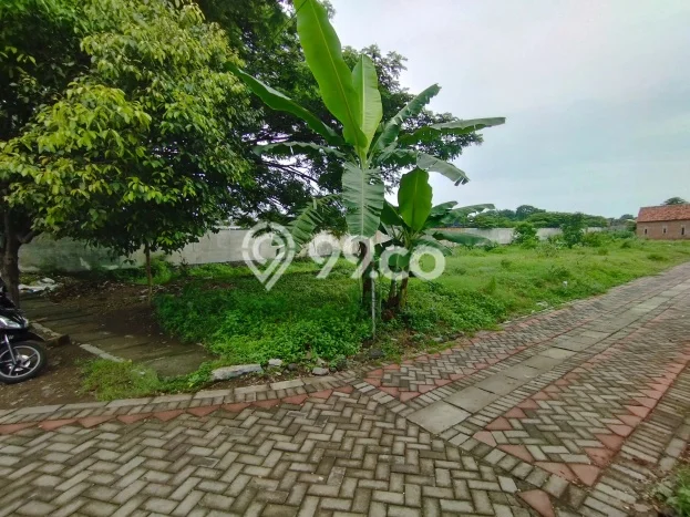 Lahan Kosong Dijual di Purworejo, Pasuruan, Luas 2095m2 Area Strategis Lahan Kosong Dijual di Purworejo, Pasuruan, Luas 2095m2 Area Strategis