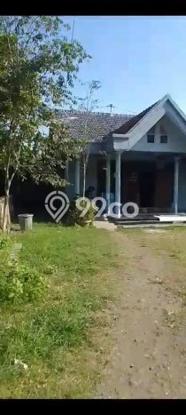 Rumah Modern Cantik 4 Kamar Bisa Langsung Pindah di Taman Rumah Modern Cantik 4 Kamar Bisa Langsung Pindah di Taman