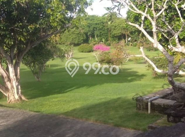 Tanah Kavling Dijual di Pecatu, Badung dengan Luas Tanah 56000m2 Tanah Kavling Dijual di Pecatu, Badung dengan Luas Tanah 56000m2