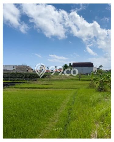 AREA PROSPEKTIF! Tanah Kawasan , Luas 1200m2m², Akses Fasilitas Umum, Kawasan Berkembang AREA PROSPEKTIF! Tanah Kawasan , Luas 1200m2m², Akses Fasilitas Umum, Kawasan Berkembang