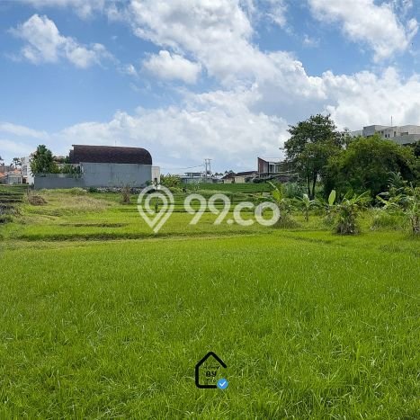 Tanah Dijual Area Strategis di canggu Badung 500m2 Tanah Dijual Area Strategis di canggu Badung 500m2