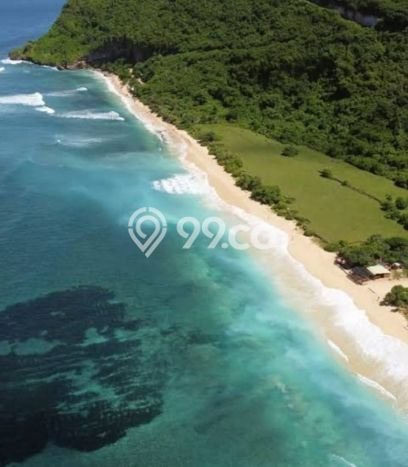 Tanah Kavling Dijual di Pecatu, Badung dengan Luas Tanah 56000m2 Tanah Kavling Dijual di Pecatu, Badung dengan Luas Tanah 56000m2