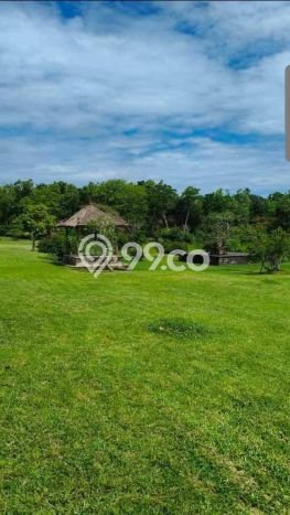Tanah Kavling Dijual di Pecatu, Badung dengan Luas Tanah 56000m2 Tanah Kavling Dijual di Pecatu, Badung dengan Luas Tanah 56000m2