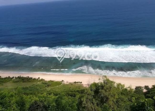Tanah Kavling Dijual di Pecatu, Badung dengan Luas Tanah 56000m2 Tanah Kavling Dijual di Pecatu, Badung dengan Luas Tanah 56000m2