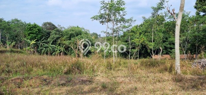 Tanah Strategis Dijual di Cileunyi Bandung 2590m2 Tanah Strategis Dijual di Cileunyi Bandung 2590m2