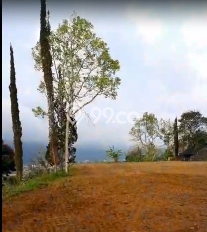 Tanah Investasi Dijual di Tabanan Punya Luas 26100m2 Tanah Investasi Dijual di Tabanan Punya Luas 26100m2