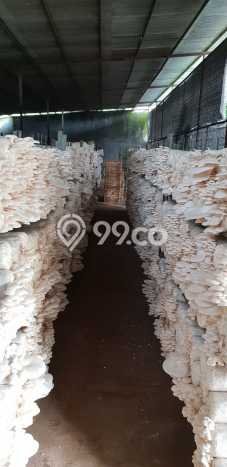FOR SALE! Pabrik di Cianjur Cianjur, LT 11169m2, LB 1600m2 FOR SALE! Pabrik di Cianjur Cianjur, LT 11169m2, LB 1600m2