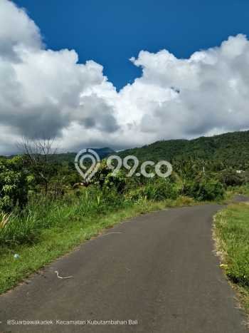 Kavling Tanah untuk Dijual di Singaraja, Buleleng, Luas 7500m2 Kavling Tanah untuk Dijual di Singaraja, Buleleng, Luas 7500m2