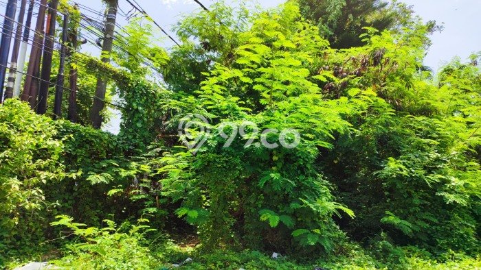 Lahan Dijual Lokasi Strategis di Denpasar dengan Luas 706m2 Lahan Dijual Lokasi Strategis di Denpasar dengan Luas 706m2
