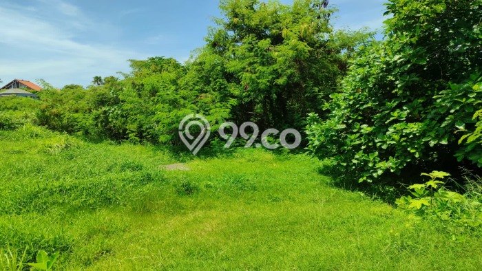 Dijual Tanah di Badung, Luas 335m2 SHM Dijual Tanah di Badung, Luas 335m2 SHM