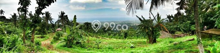 Tanah Kavling Dijual di Lovina, Buleleng dengan Luas Tanah 9800m2 Tanah Kavling Dijual di Lovina, Buleleng dengan Luas Tanah 9800m2