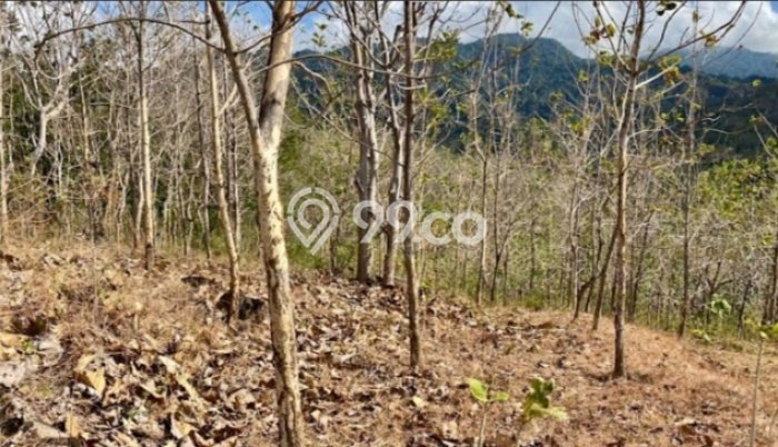 Untuk Dijual Tanah di Buleleng, Luas 225m2 SHM Untuk Dijual Tanah di Buleleng, Luas 225m2 SHM