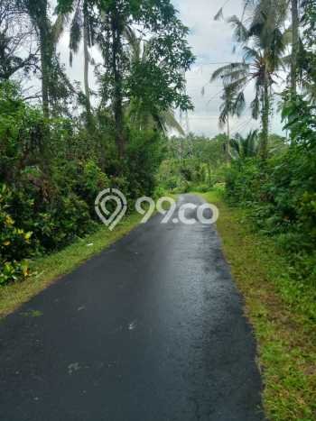 Tanah di Tabanan, Tabanan Luas 2990m2 Dijual Segera Tanah di Tabanan, Tabanan Luas 2990m2 Dijual Segera