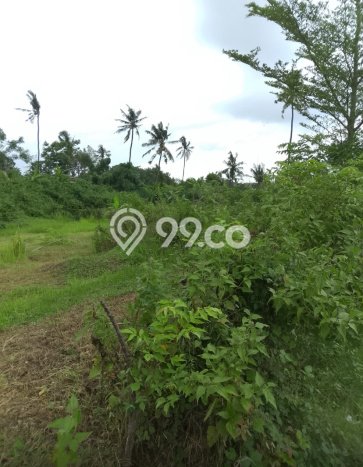 Tanah Kavling Dijual di Singaraja, Buleleng dengan Luas Tanah 4500m2 Tanah Kavling Dijual di Singaraja, Buleleng dengan Luas Tanah 4500m2