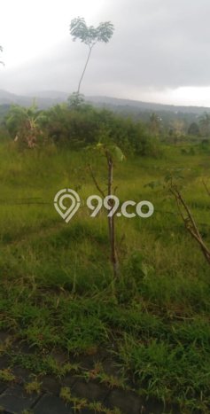 Tanah Kavling Dijual di Singaraja, Buleleng dengan Luas Tanah 4500m2 Tanah Kavling Dijual di Singaraja, Buleleng dengan Luas Tanah 4500m2