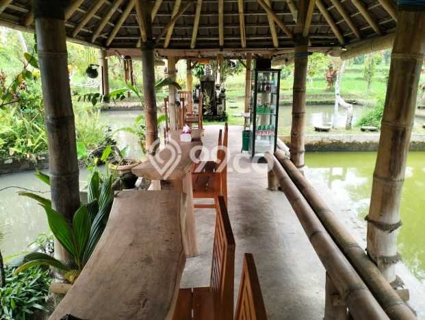 Lahan Kosong Dijual di Gianyar dengan Area 5000m2 Lahan Kosong Dijual di Gianyar dengan Area 5000m2