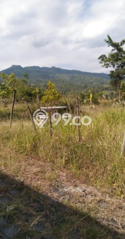 Tanah Kavling Dijual di Singaraja, Buleleng dengan Luas Tanah 4500m2 Tanah Kavling Dijual di Singaraja, Buleleng dengan Luas Tanah 4500m2