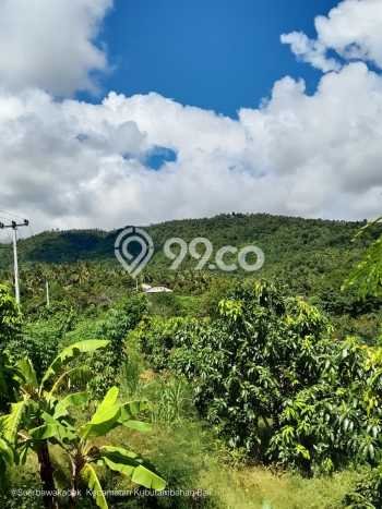 Kavling Tanah untuk Dijual di Singaraja, Buleleng, Luas 7500m2 Kavling Tanah untuk Dijual di Singaraja, Buleleng, Luas 7500m2
