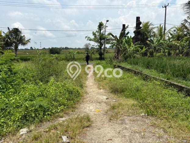 Dijual Tanah di Mengwi Badung Luas 100m2 SHM Dijual Tanah di Mengwi Badung Luas 100m2 SHM