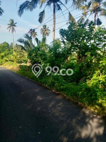 Tanah di Tabanan, Tabanan Luas 2990m2 Dijual Segera Tanah di Tabanan, Tabanan Luas 2990m2 Dijual Segera