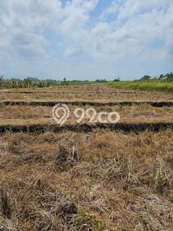 Tanah Komersial di Tabanan, Luas 6915m2m², Akses Mudah Tanah Komersial di Tabanan, Luas 6915m2m², Akses Mudah